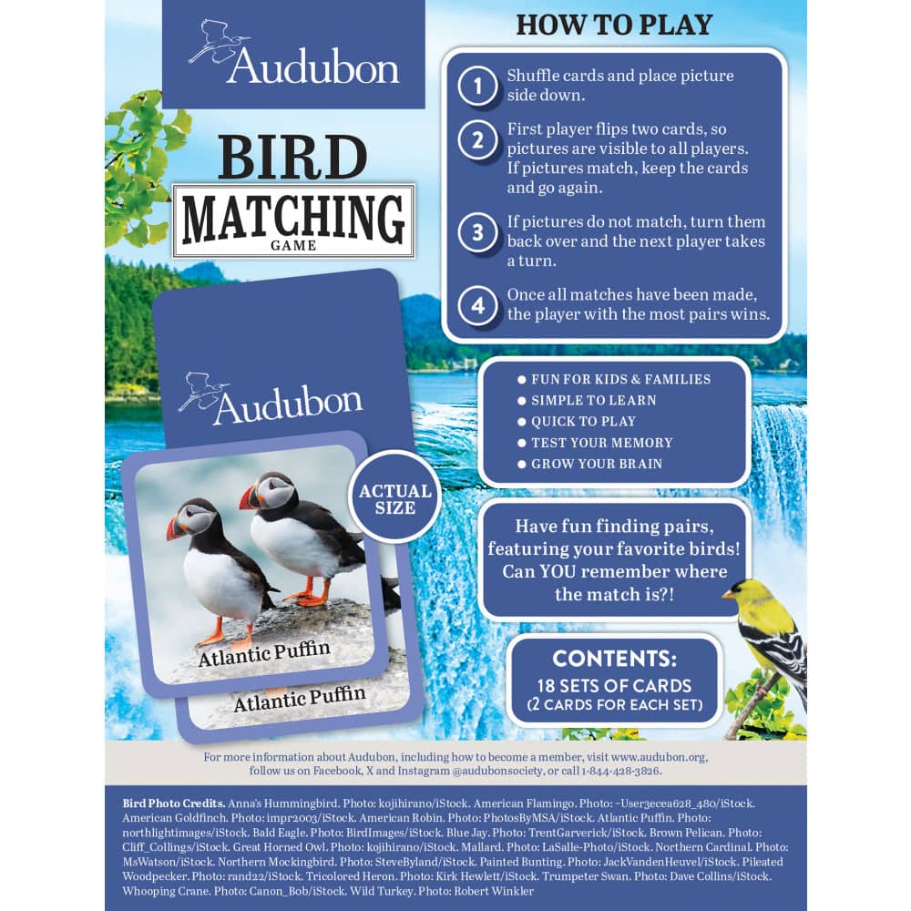 Audubon - Bird Matching Game - Image 3