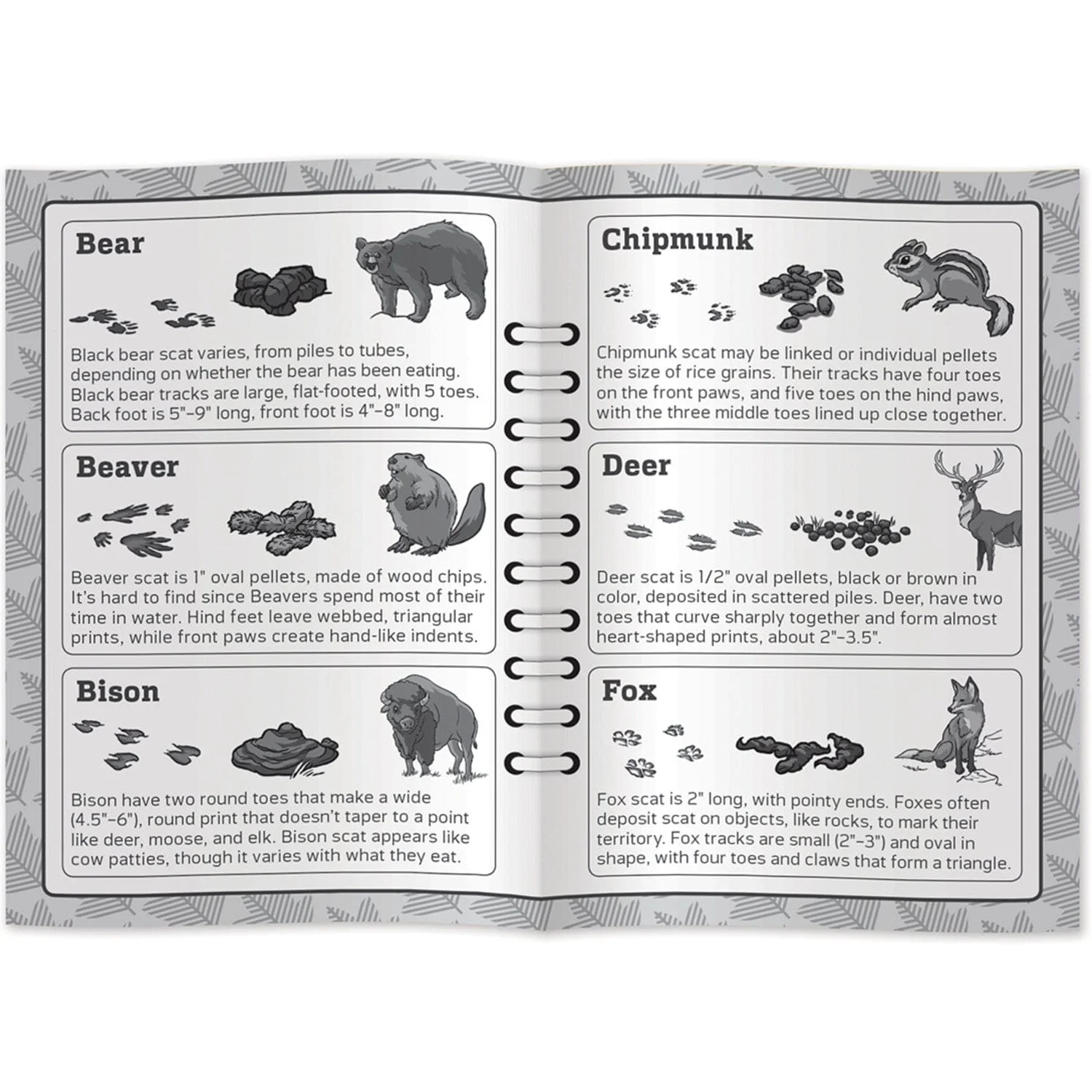 Jr. Ranger Poop Tracks Card Game - Image 4