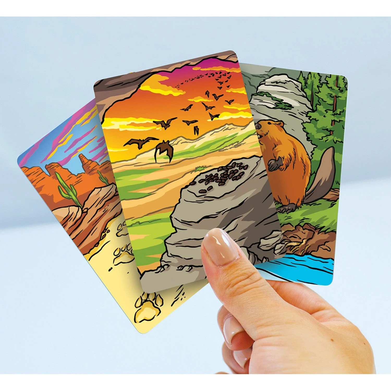 Jr. Ranger Poop Tracks Card Game - Image 5